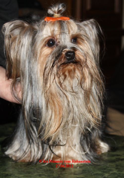 Ira Prinzess vom Hohenstein