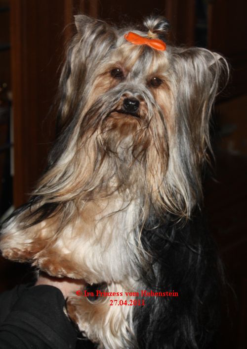 Ira Prinzess vom Hohenstein