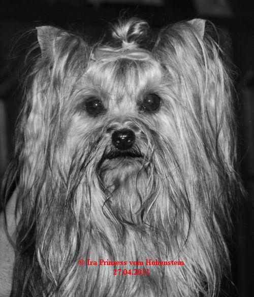 Ira Prinzess vom Hohenstein