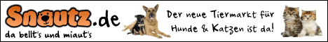 Banner von Schnautz.de