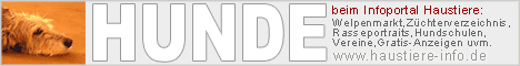 Banner von Hunde bei Infoportal Haustiere