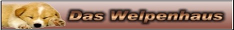 Banner Welpenhaus