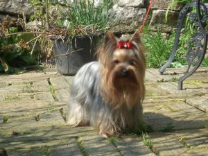 Hier sieht man unsere Bonny