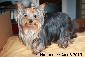 Hier sieht man unsere Happyness