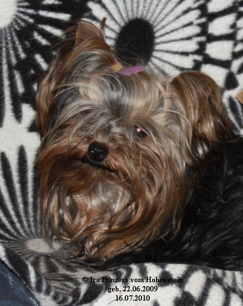 Ira Prinzess vom Hohenstein