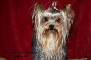 Hier sieht man unseren Quinn