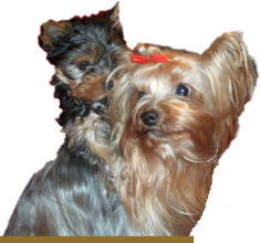 Gina und Garry Hier zeigen wir Gina und ihren Sohn Gary