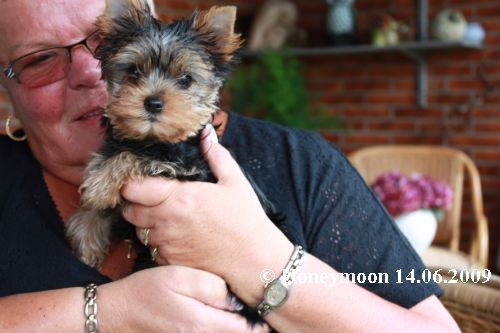 Hier zeigen wir Honeymoon im neuen Zuhause