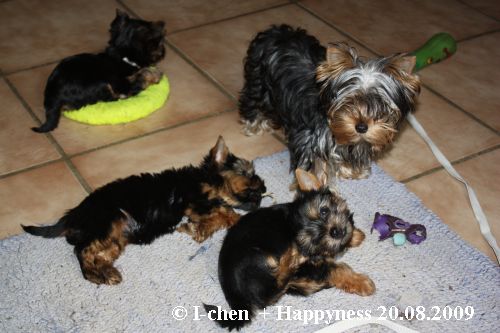 Happyness und die i-chen